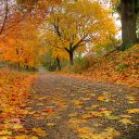 masha_qg