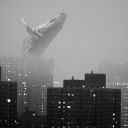 googlefog
