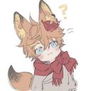 user60653478