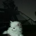 edna_evans0009