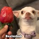 KARYMA_BEN