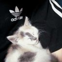 _nazzis_