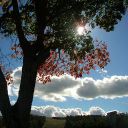 user66020246