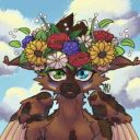 DragonWing26