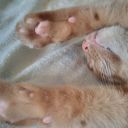 Irina2cat