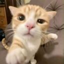 Py6uH_CmepTu