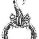Skorpion3377