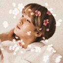 ____Minmi_____