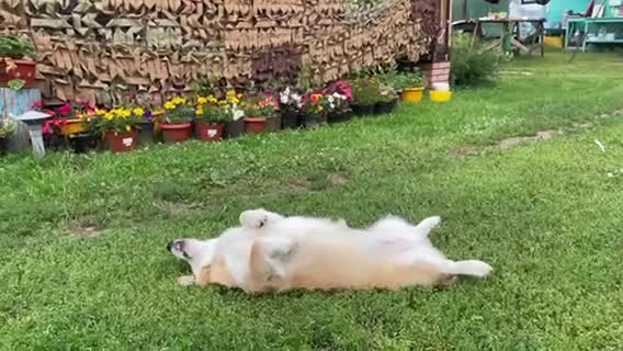 video-211f027e9e567f8ab6e586d0b6b40e1d-V.mp4