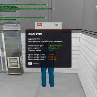 radmir-2026-02-09-17_25-20