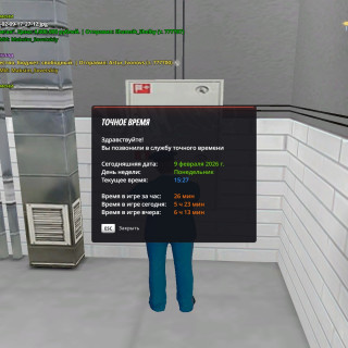 radmir-2026-02-09-17_27-52