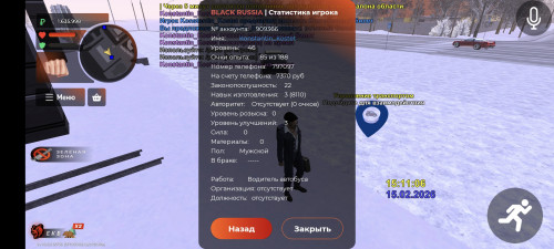Screenshot_2026-02-15-17-11-09-549_com.yandex.browser.jpg