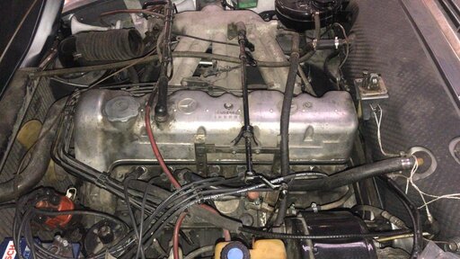 WhatsApp Image 2019-08-23 at 15.39.52.jpeg