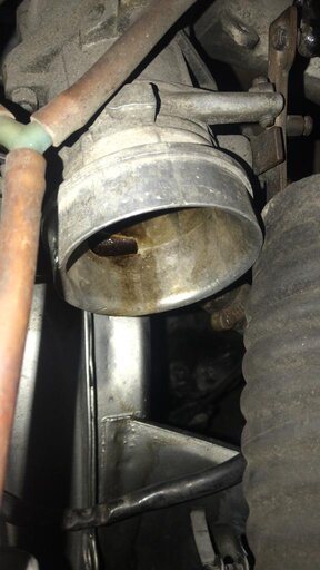 WhatsApp Image 2019-08-23 at 15.39.52 (3).jpeg