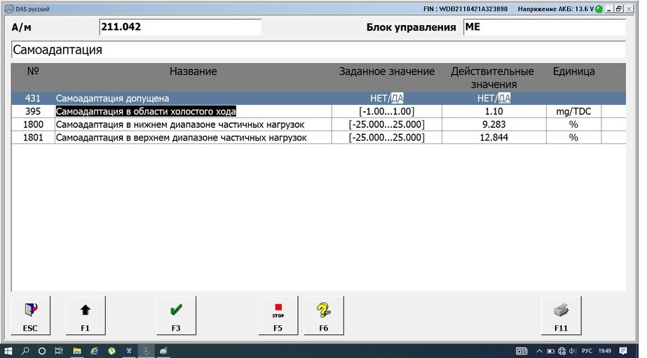 Самоадаптация.jpg