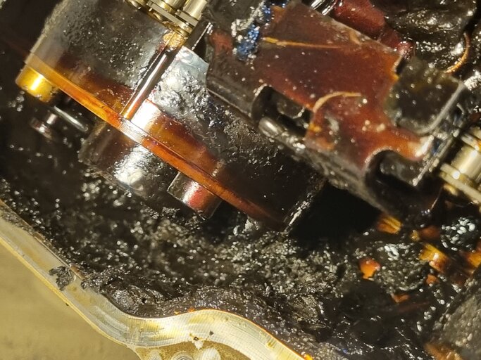 20230427_195018.jpg