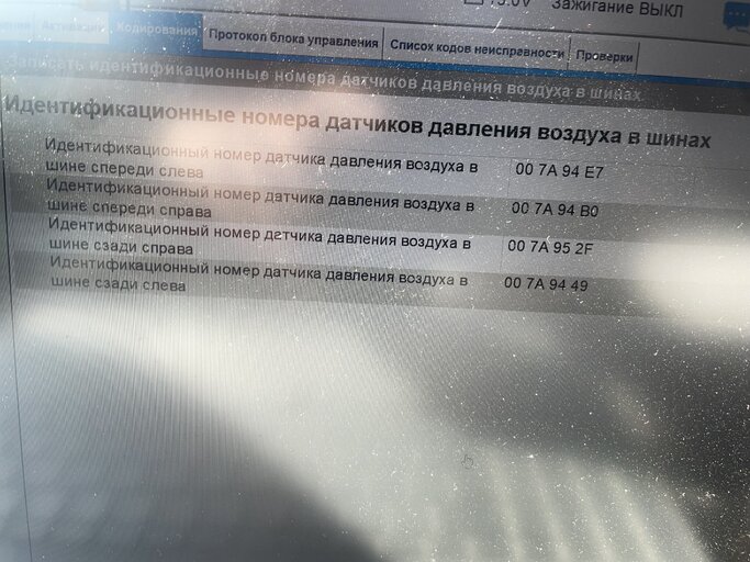 IMG_5367.jpeg