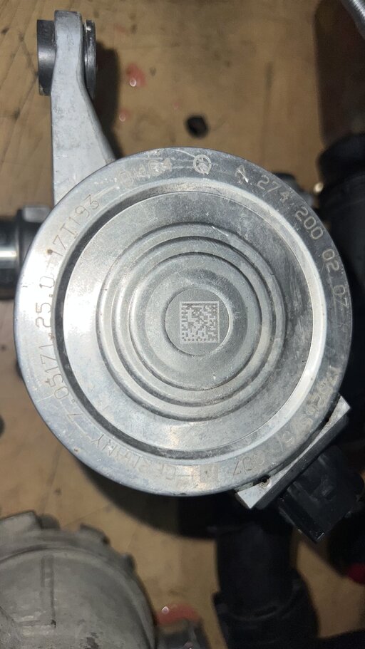 IMG_2026.jpeg IMG_2026.jpeg