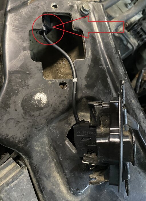 Снимок экрана 2026-01-05 203851.jpg