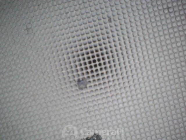 WhatsApp Image 2022-04-03 at 00.48.27.jpeg