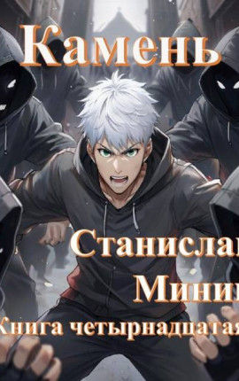 Камень Книга четырнадцатая