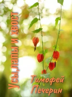 Усы, лапы и хвост