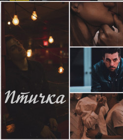 Птичка