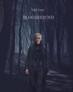 Bloodhound