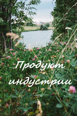 Продукт индустрии