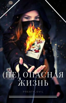 (Не) Опасная Жизнь