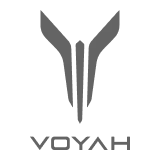 Voyah Автокласс Тула