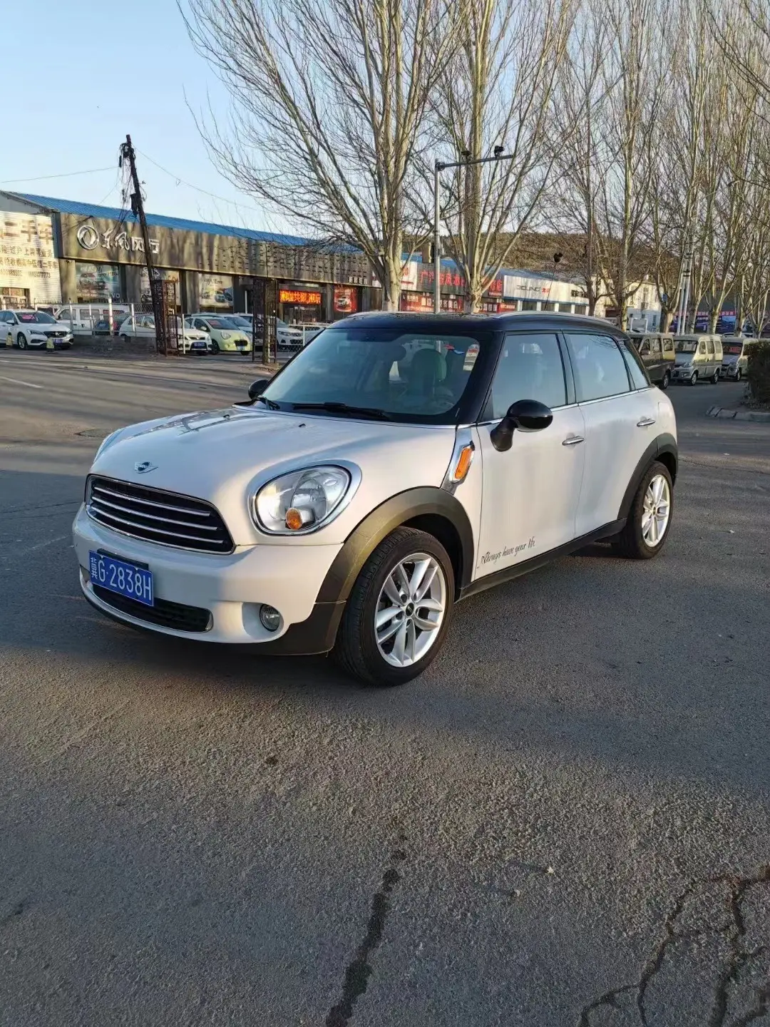 Mini Countryman I