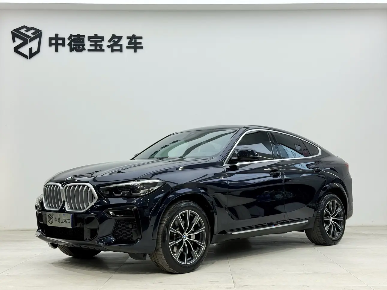 BMW X6 III (G06)
