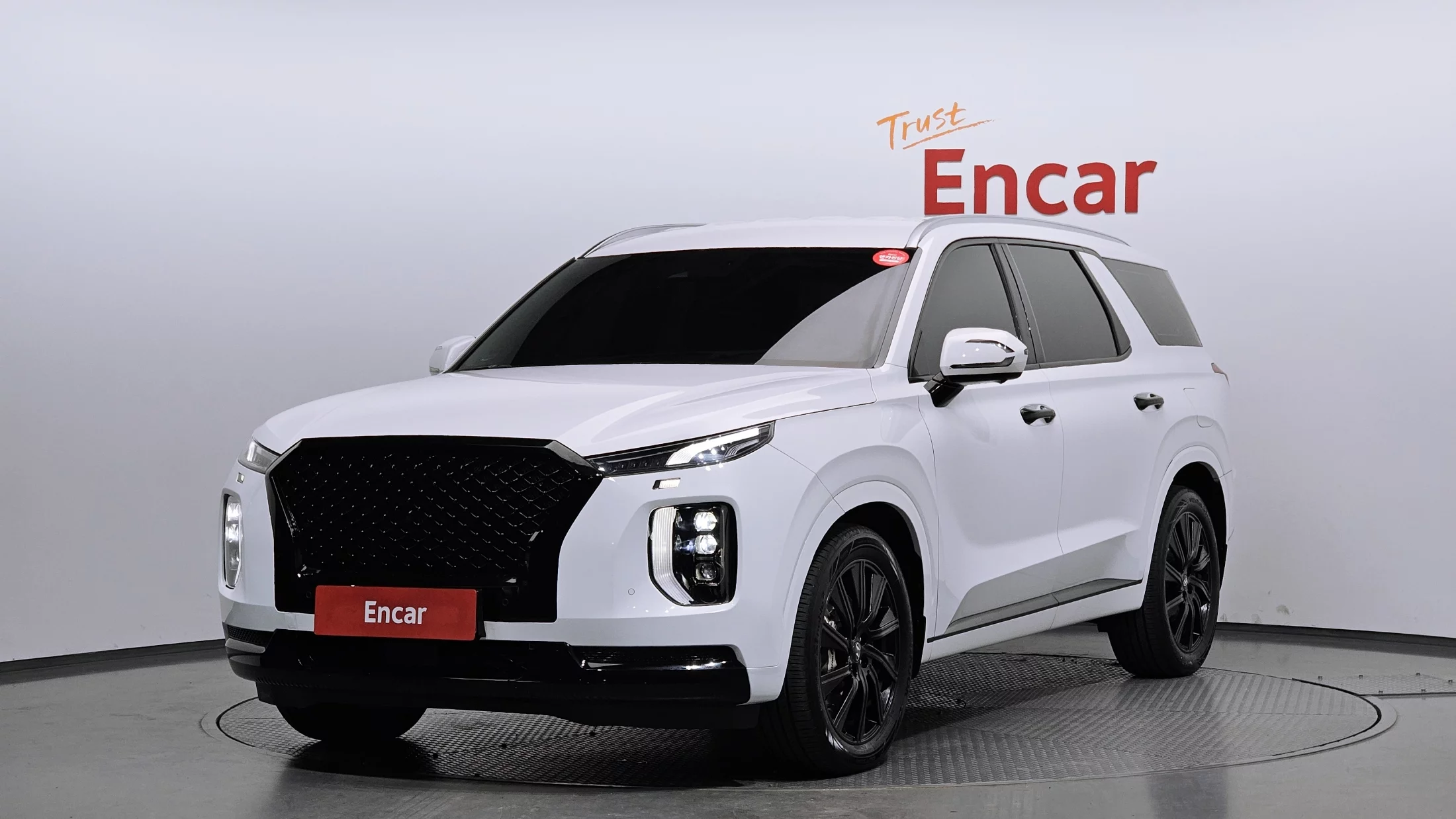 Hyundai Palisade Diesel 2.2 4Wd Calligraphy
