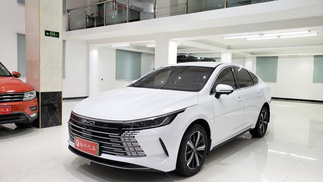 Byd Destroyer 05 №17171872 2024