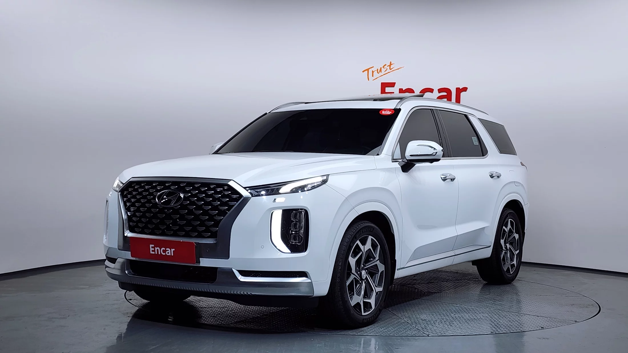 Hyundai Palisade Diesel 2.2 4Wd Calligraphy