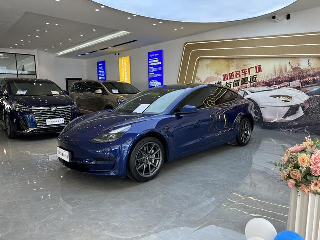 Tesla Model 3 №13766092 2021