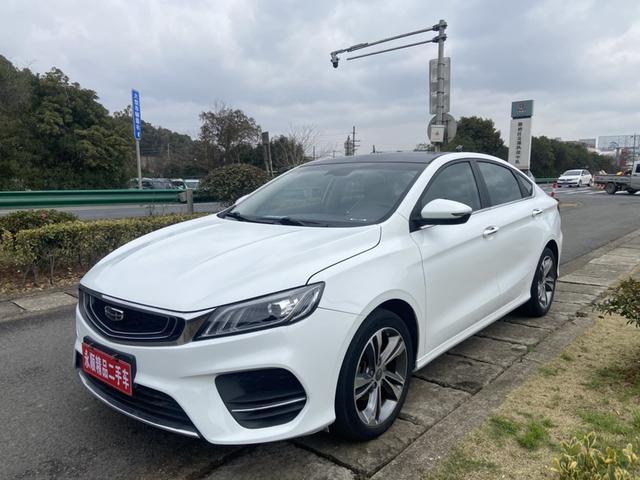 Geely Binrui №18317344 2020