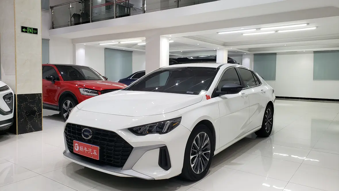 Gac Shadow Leopard №18991324 2023