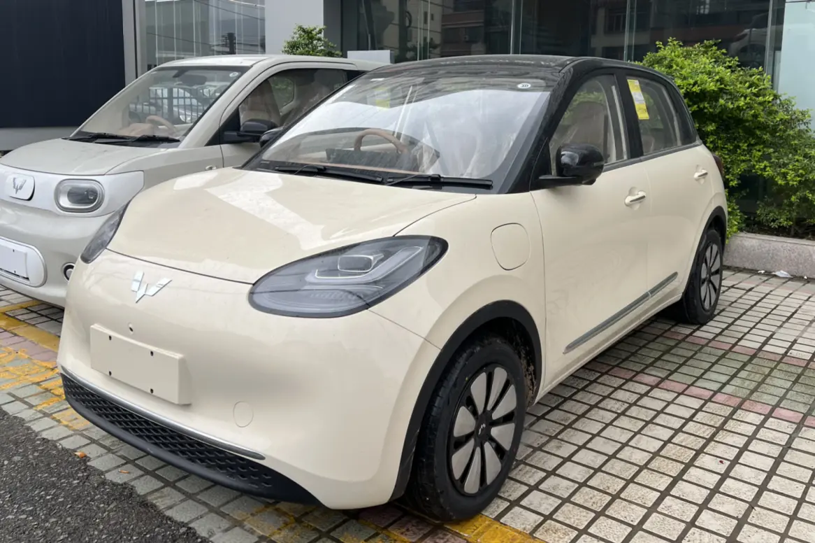 Wuling Bingo №18989328 2025