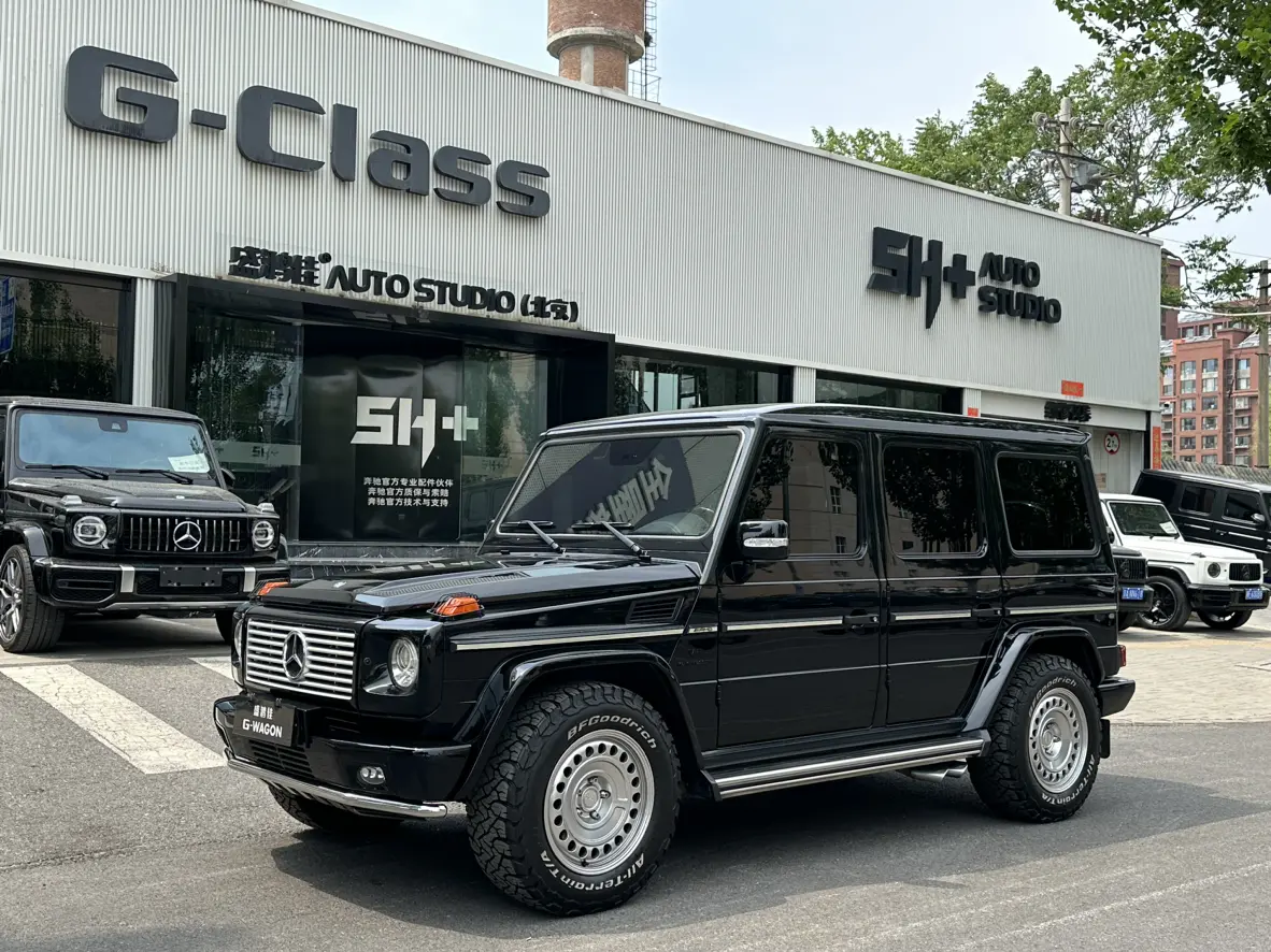 Mercedes-Benz G-Class Amg №19130304 2010