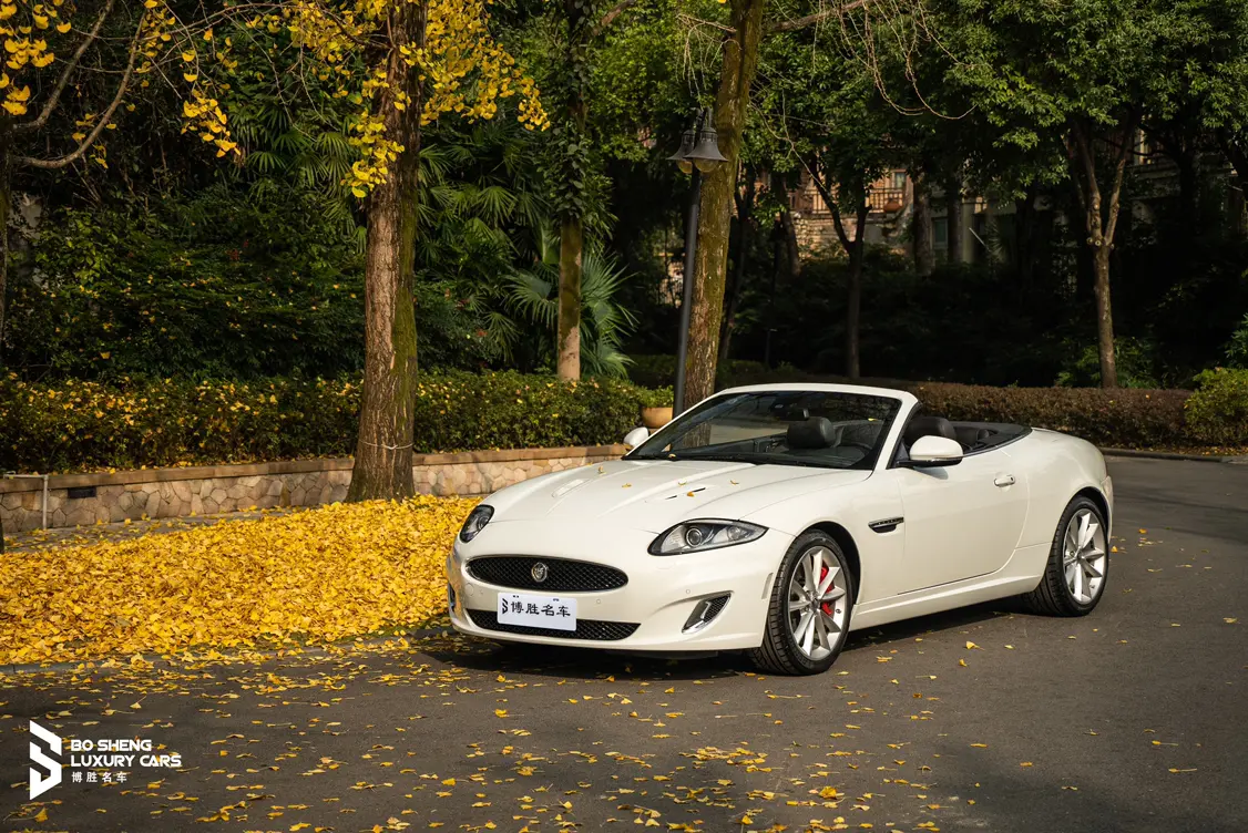 Jaguar Xk №19213780 2012