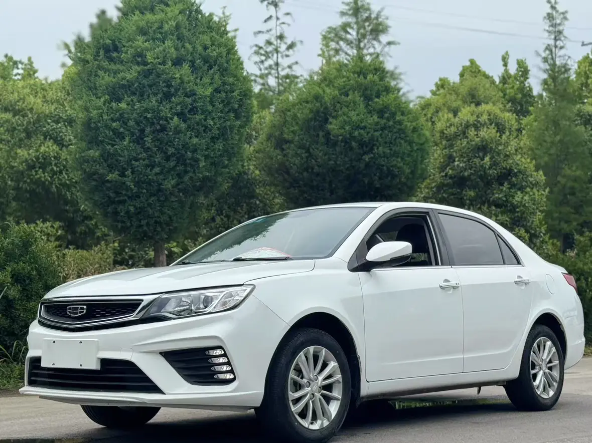 Geely Vision №19371310 2020