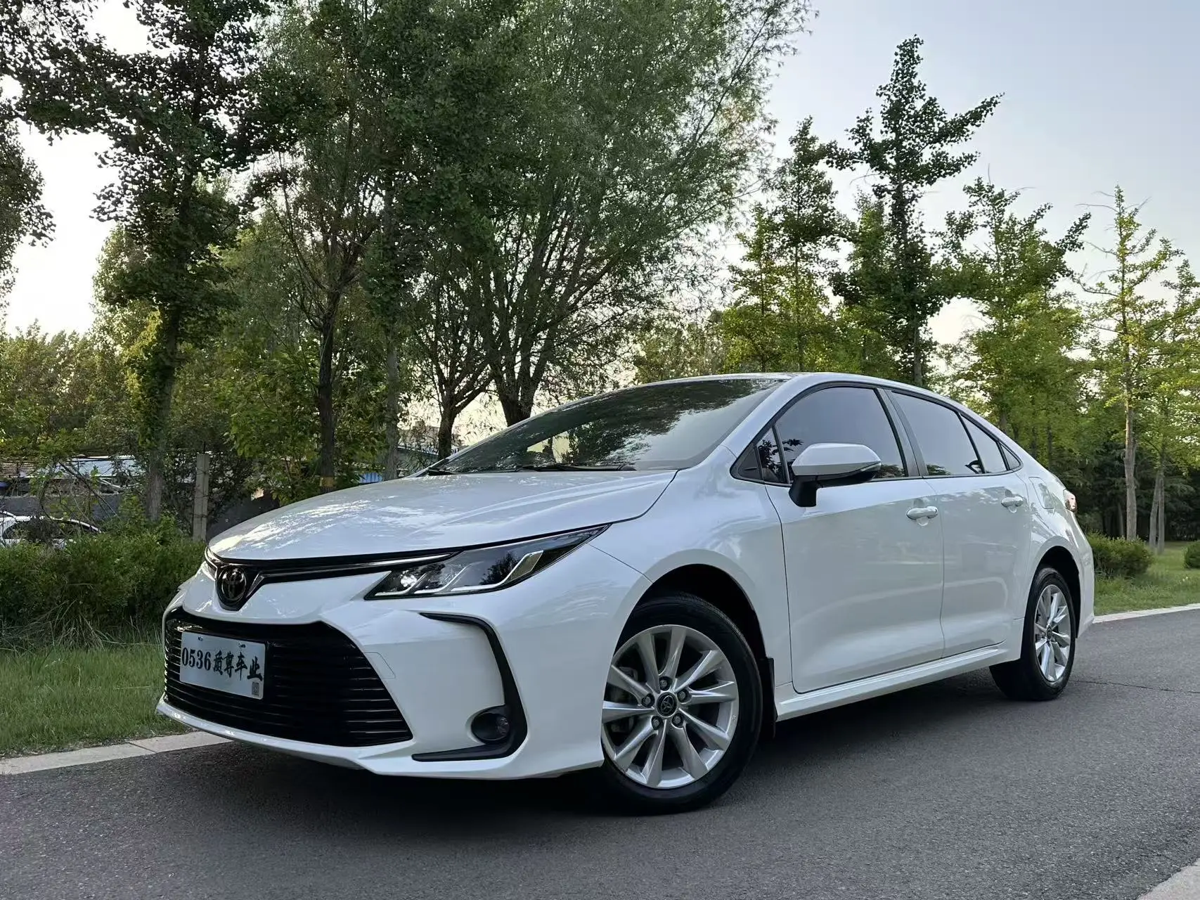 Toyota Corolla XII (E210)