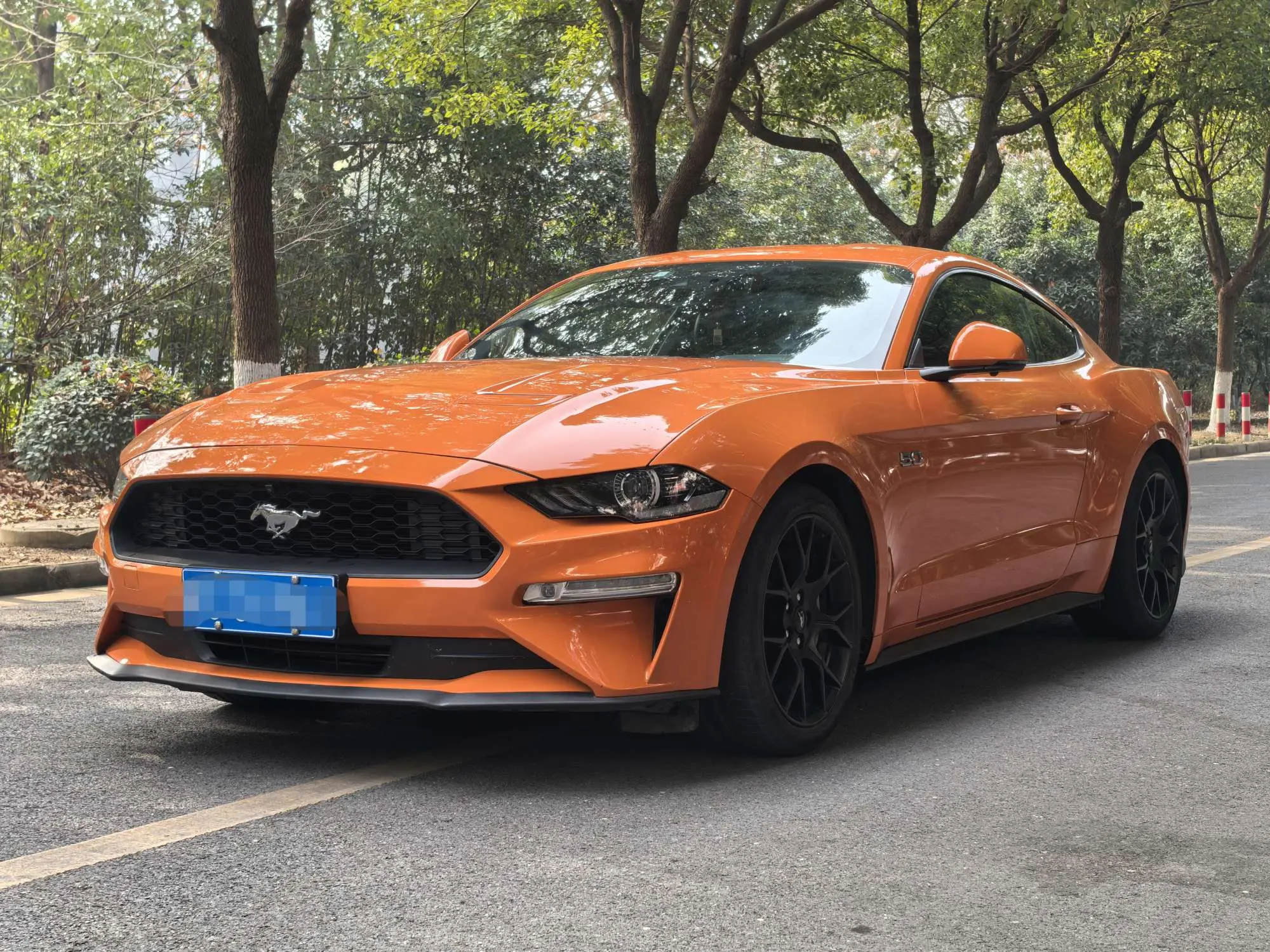 Ford Mustang №18154237 2021