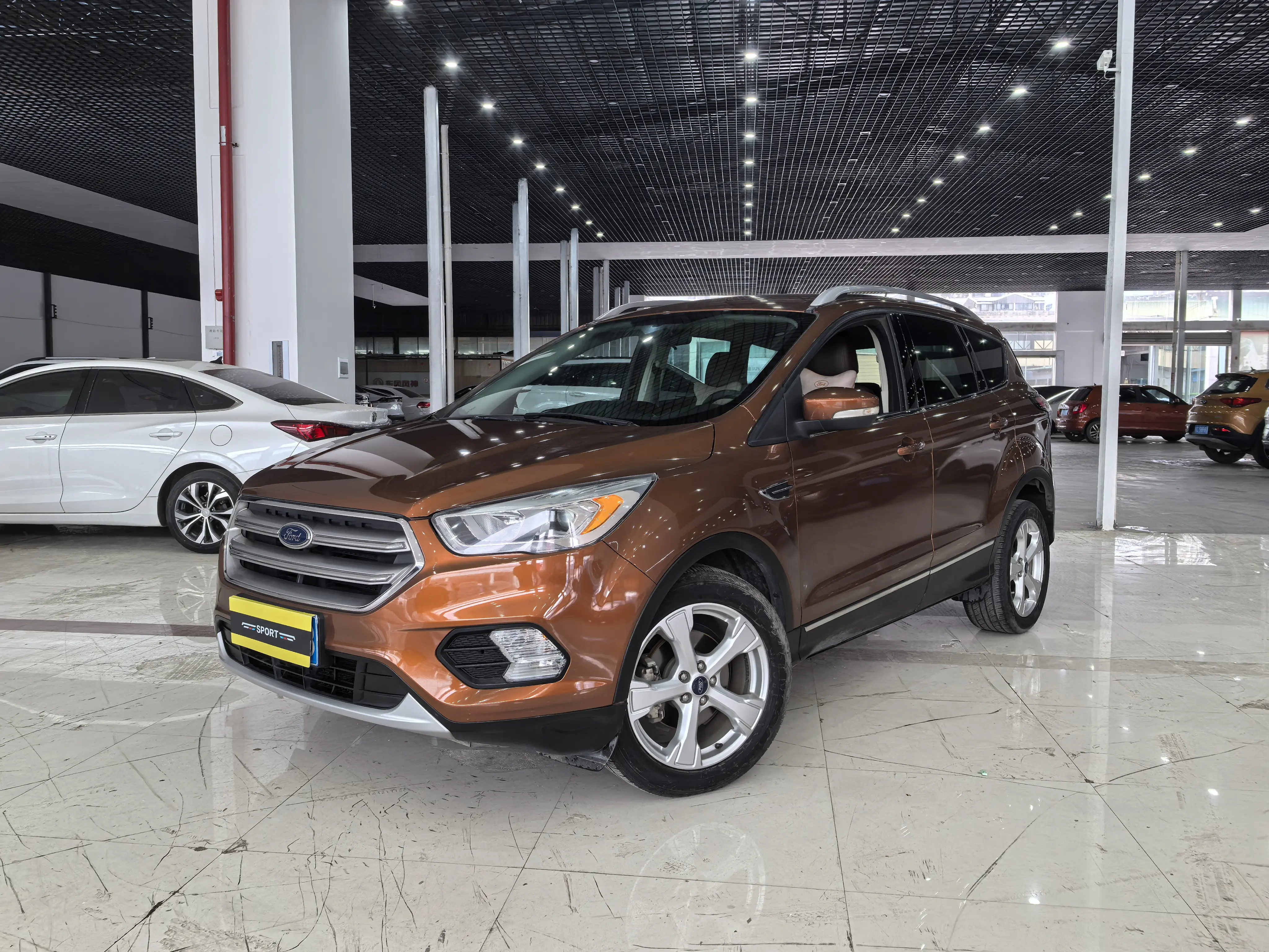 Ford Wing Tiger №19027907 2017