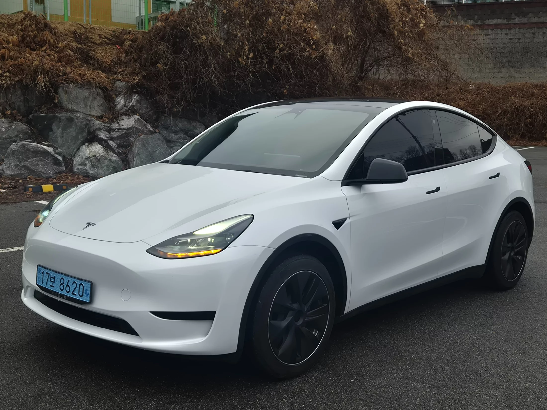 Tesla Model Y I