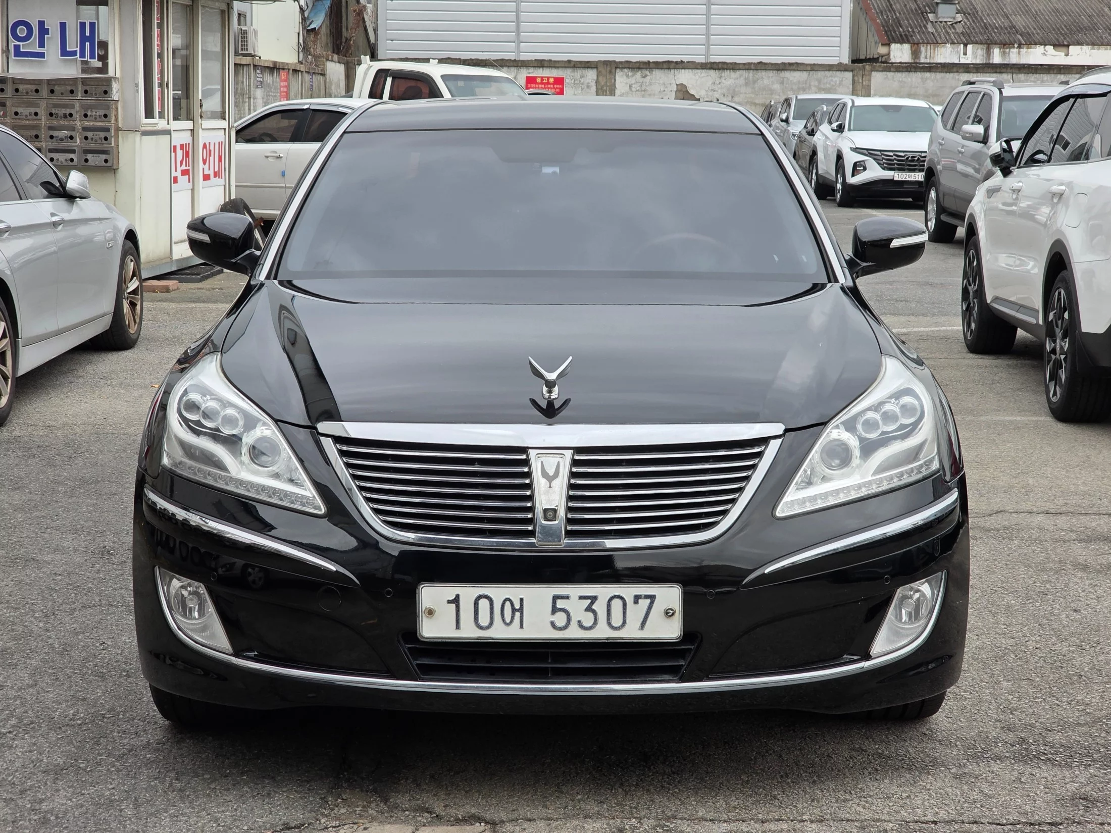 Hyundai Equus I