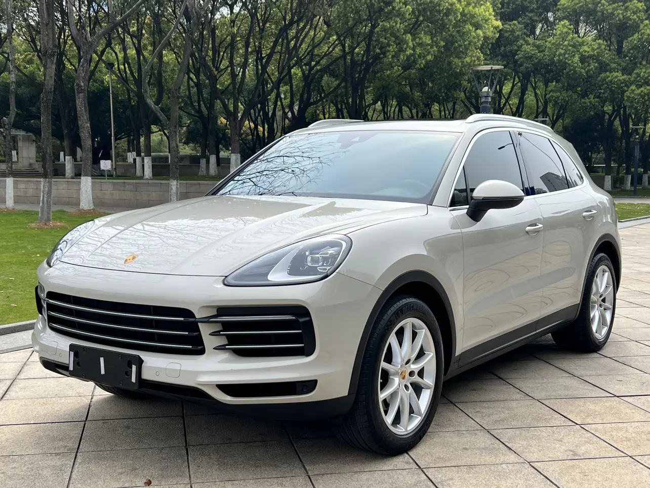 Porsche Cayenne №19796332 2021