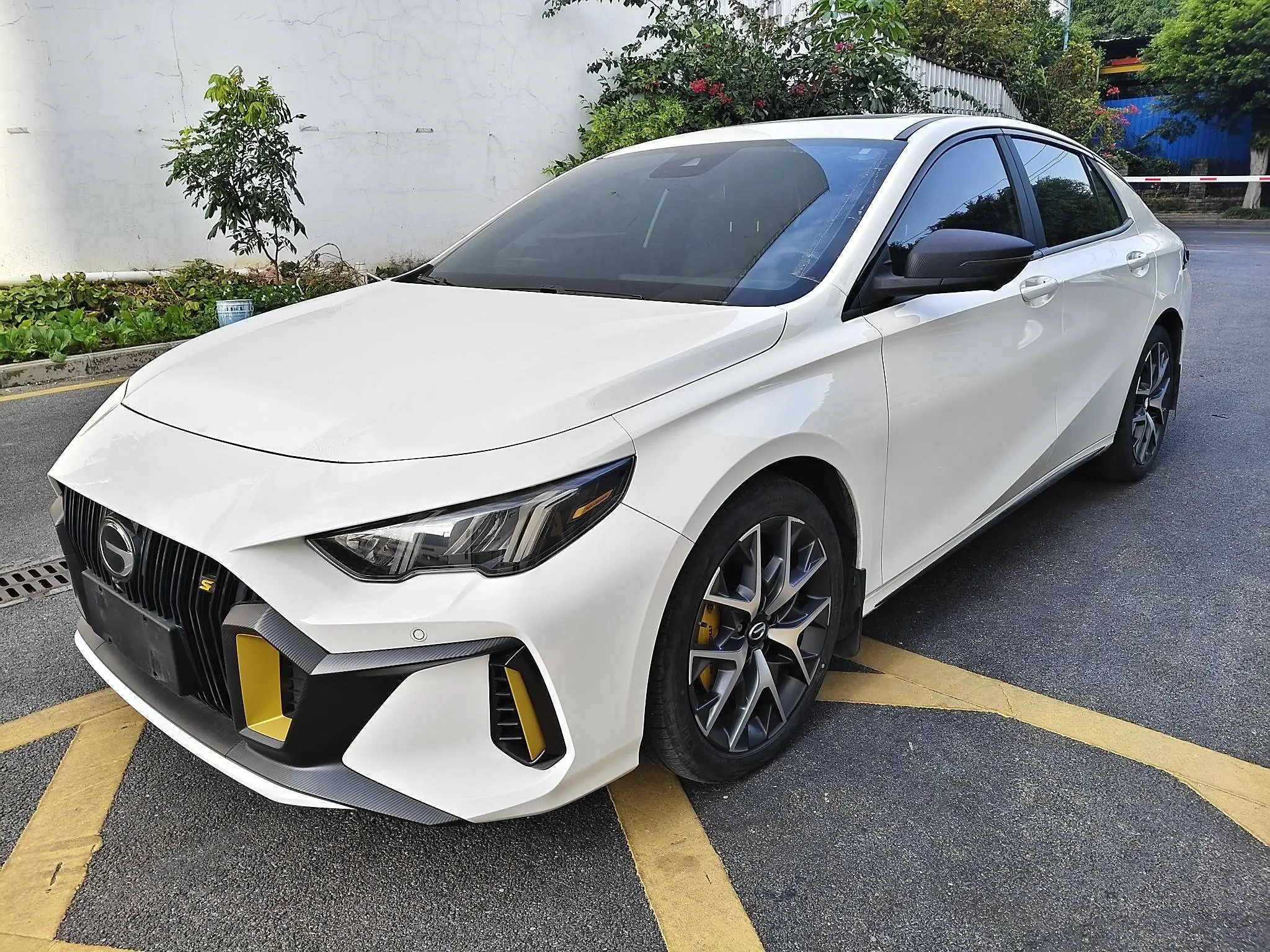 Gac Shadow Leopard №19805506 2022